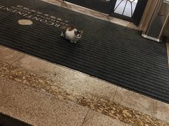 -上海瑞金洲际酒店
