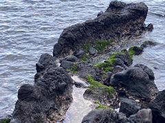 -龙头岩(Dragon Head Rock)