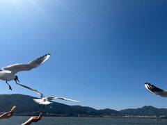 -海埂大坝