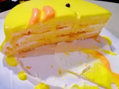 -今日·TODAY手作低脂动物奶油蛋糕定制(高新万达店)