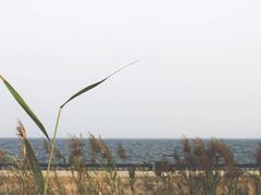 -东堤公园
