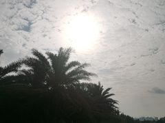 -白沙门生态公园