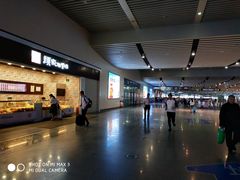 景观位-颜家辣酱鸭(长沙南站高铁店)