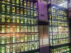 -广东中医药博物馆