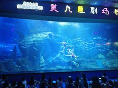 -多彩贵州城极地海洋世界