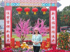 -南宁良凤江国家森林公园