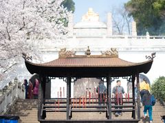 -苏州上方山国家森林公园