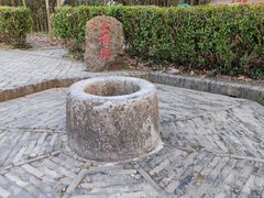 -上海佘山国家森林公园天马山园