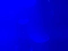 -唯尚主题式KTV(红谷滩店)