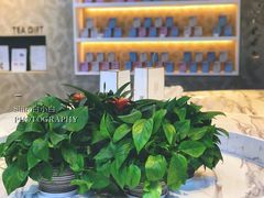 大堂-奈雪的茶(观前街店)