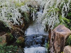 -中国茶叶博物馆(双峰馆区)