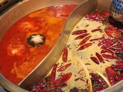 -小龙坎老火锅(北京三里屯店)