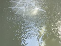 -檀园