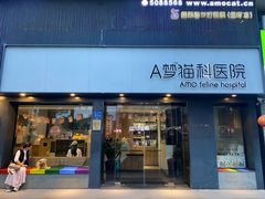 -御宝贝·A梦猫科宠物医院(国际猫友好医院)