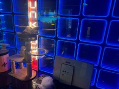 -暗楼·剧本杀·桌游