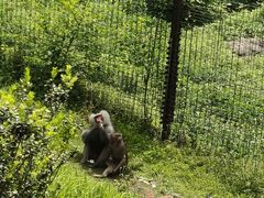 -南昌动物园
