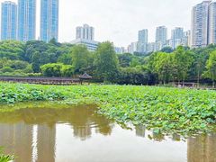 -龙头寺公园