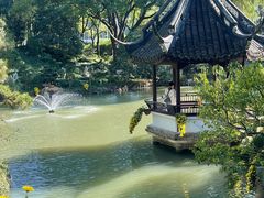 -上海醉白池公园