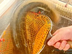 -金三可市井水煮鱼(金碧园店)