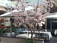 -福田卓悦INTOWN购物中心