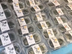 -林记开心动物奶油生日蛋糕(凤凰城店)