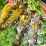 特色菜今日之选