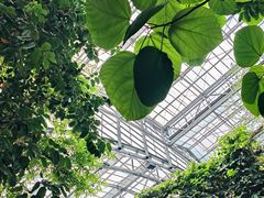 -南山植物园