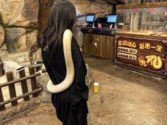 -哈尔滨波塞冬海底世界
