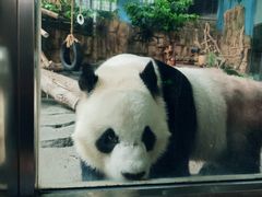 -泉州海丝野生动物世界