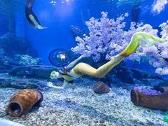 -海合安天津极地海洋公园