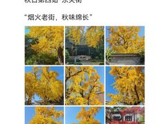 -陈记菜馆·非遗淮扬菜(东关街教场店)