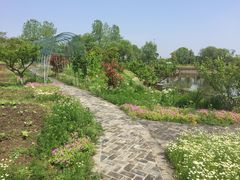 -太阳岛度假酒店