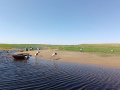 -黑龙江扎龙生态旅游区