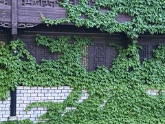 -鲁镇