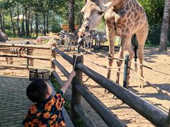 -大连森林动物园
