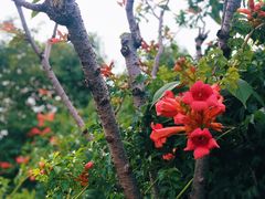 -呼吸森林·生态农庄农家乐私房菜