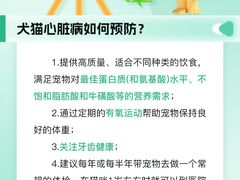 -瑞派申生动物医院·24H夜诊·国际动物医疗中心·骨外科(吴中路店)