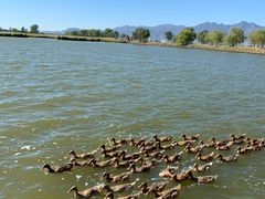 -野鸭湖国家湿地公园