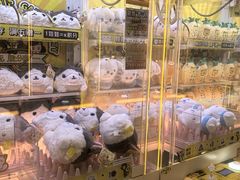 -风云再起游乐汇(北京西单西西友谊店)