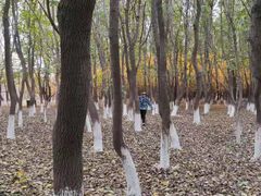 -亲兄弟真人CS团建拓展基地