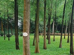 -晓港公园