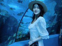 -合肥海洋世界