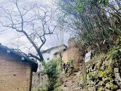 -新安江山水画廊风景区