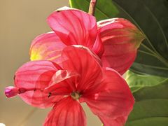 -第六季自助餐厅(北太平庄店)