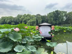-北陵公园