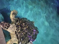 -正佳极地海洋世界
