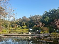 -云溪植物园