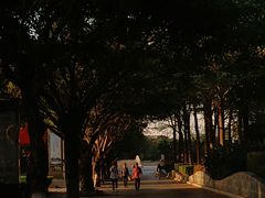 -厦门园林博览苑