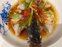 -悦芽照护月嫂+育儿嫂(杭州店)
