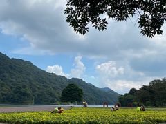-广州市石门国家森林公园